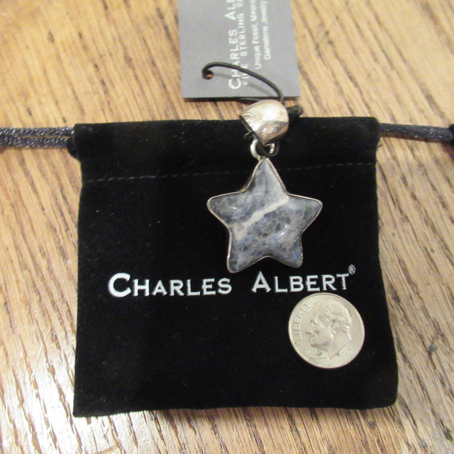 Sterling silver 925 Star Sodalite Charles Albert Bail pendant