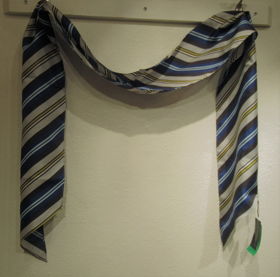 Express Navy Silk Long Striped Scarf